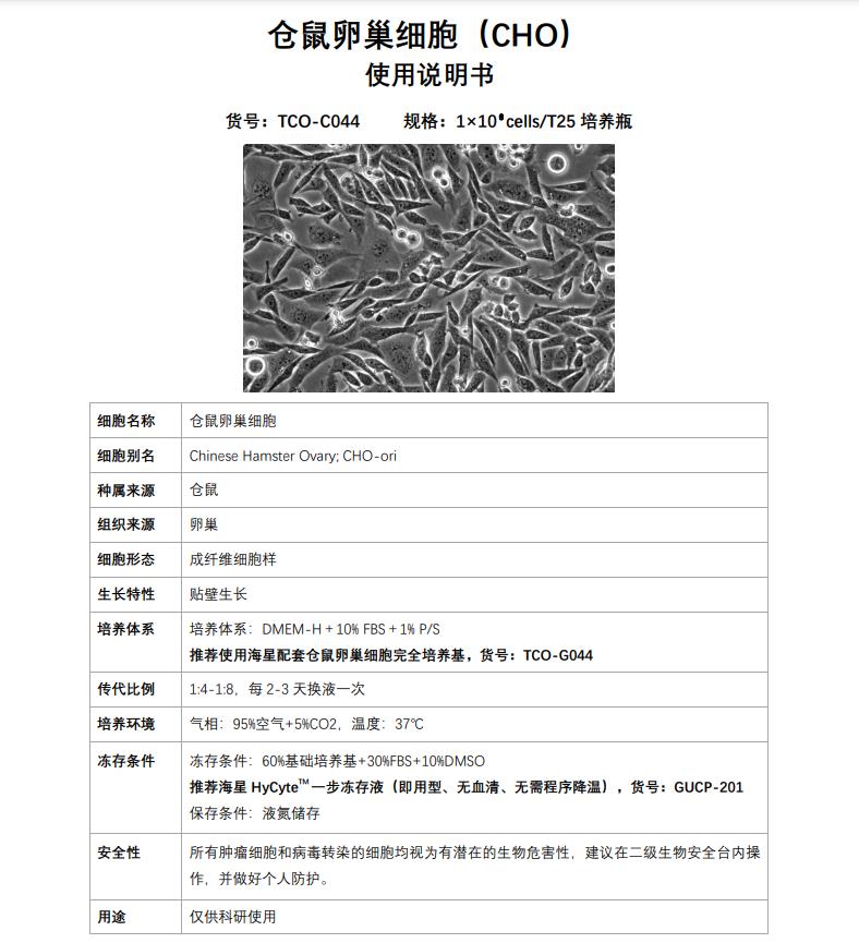 CHO細(xì)胞購(gòu)買