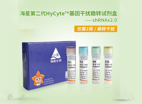 HyCyte基因干擾穩(wěn)轉試劑盒-轉染試劑