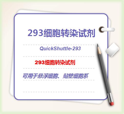 QuickShuttle-293 HEK293細(xì)胞轉(zhuǎn)染試劑