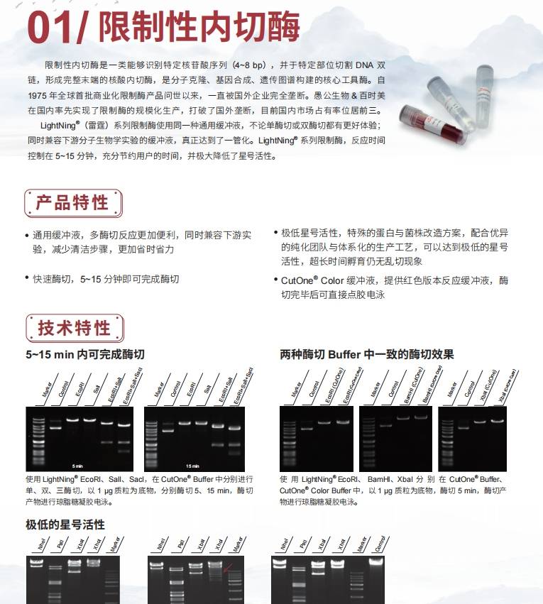 taq DNA <i style='color:red'>聚合酶</i>和限制性內(nèi)切酶哪種在分子生物學(xué)實(shí)驗(yàn)中用量較大？