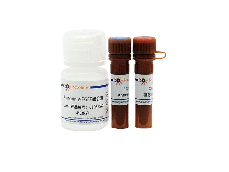 Annexin V-EGFP-碧云天細胞凋亡檢測試劑盒
