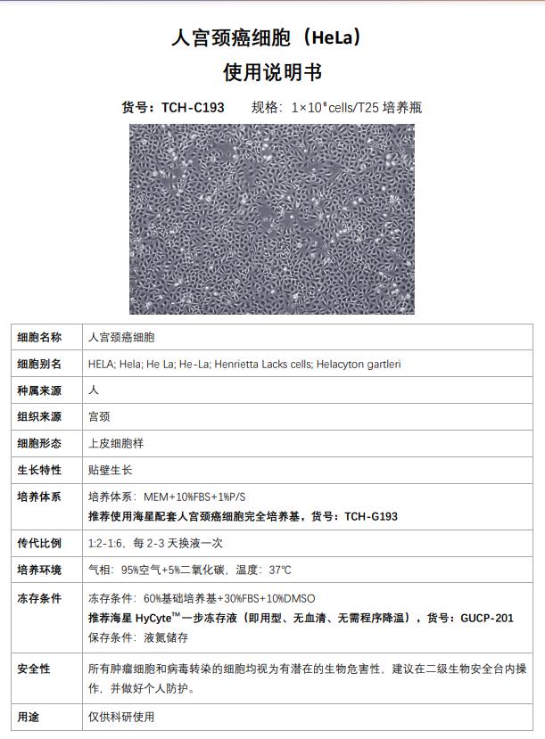 hela 細胞說明書