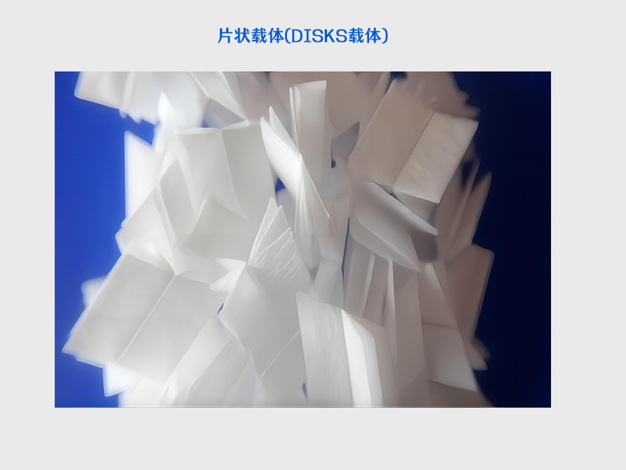 片狀載體